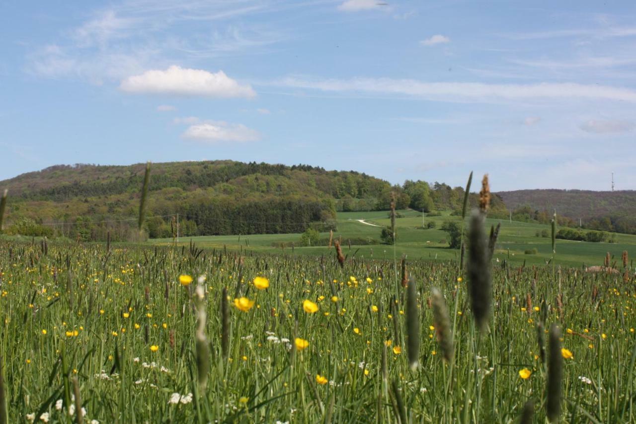 Fewo Litzendorf Bagian luar foto
